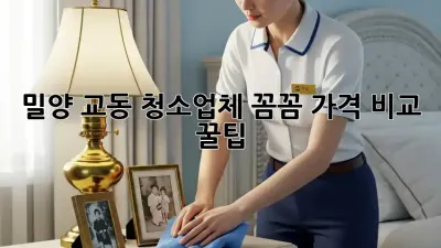 밀양 교동 청소업체 꼼꼼 가격 비교 꿀팁🍯