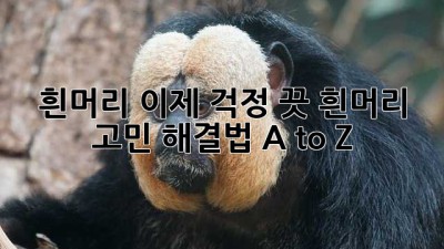 😱 흰머리? 이제 걱정 끗! 흰머리 고민 해결법 A to Z 👵✨